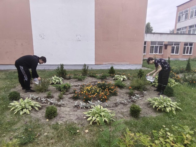 Трудовая практика для обучающихся.