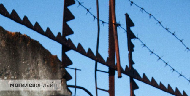 ´Мама, просто представь, что я уехал жить в другую страну´. История могилевчанки, сыну которой дали 11 лет тюрьмы за ´закладк...