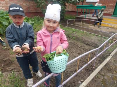 ´ВО САДУ ЛИ, В ОГОРОДЕ... ´.