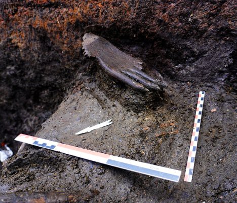 В Смоленской области нашли деревянную руку каменного века.