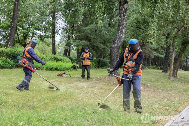 Под самый корешок: шинники приняли участие в дне благоустройства.