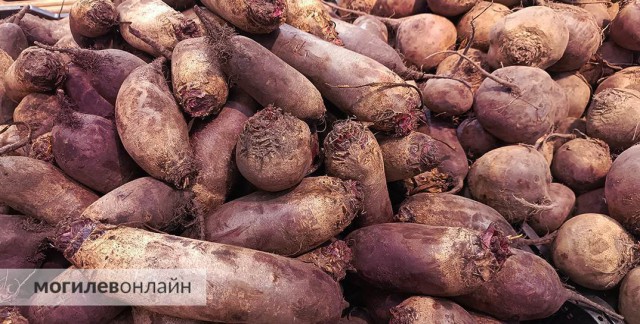 Стало известно, когда в Могилеве стартуют сельскохозяйственные ярмарки и где они будут работать.