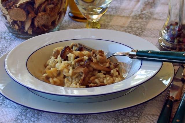 ТОП-5 вкусных блюд из лесных грибов. От крем-супа до ризотто.