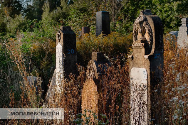 Еврейское, но не совсем: вспоминаем историю старого кладбища на Ольчинской в Могилеве.