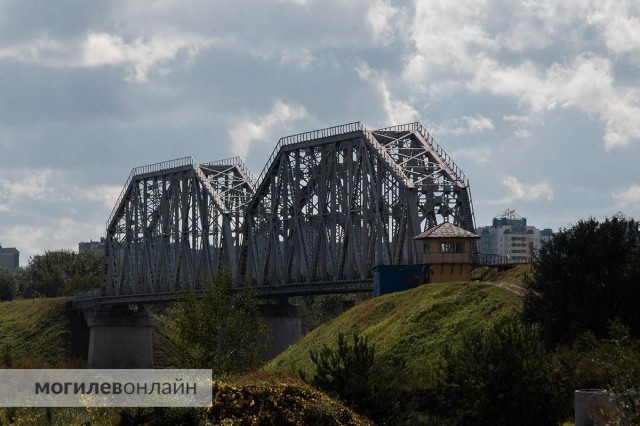 ´Когда любовь заканчивается пакетом´. Как в Могилеве хоронят домашних питомцев, чем это опасно и сколько стоит попрощаться с...