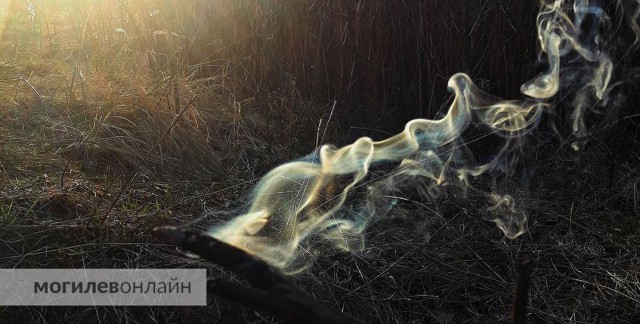 В Могилевском районе подросток получил ожоги во время отдыха у озера.
