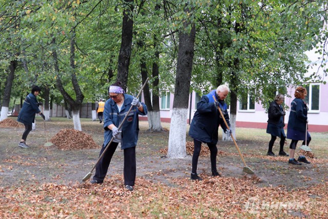 Вооружились граблями и кистями.