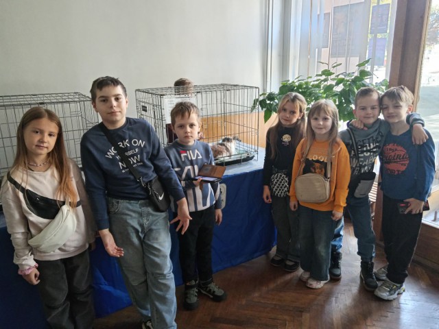 Выставка ´Мой ласковый и нежный кот´.