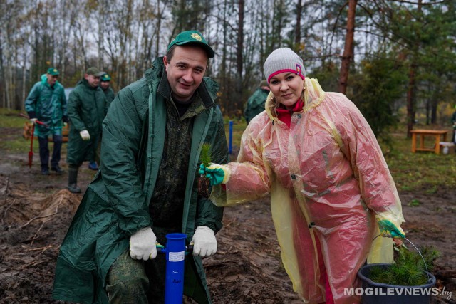 10 тыс. саженцев высадили представители областного руководства на субботнике.