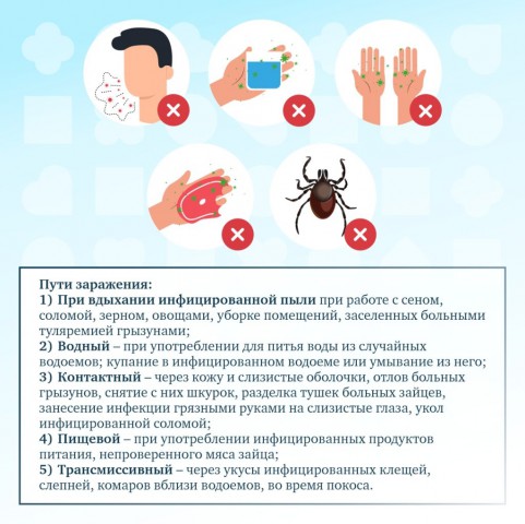 Профилактика туляремии.