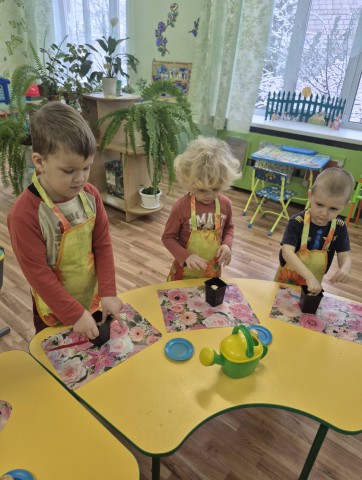 Мы сажали огород!