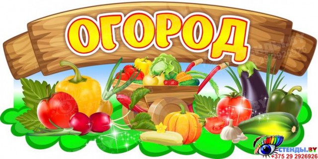 ПОСАДИЛИ ОГОРОД! ПОСМОТРИТЕ, ЧТО РАСТЕТ!