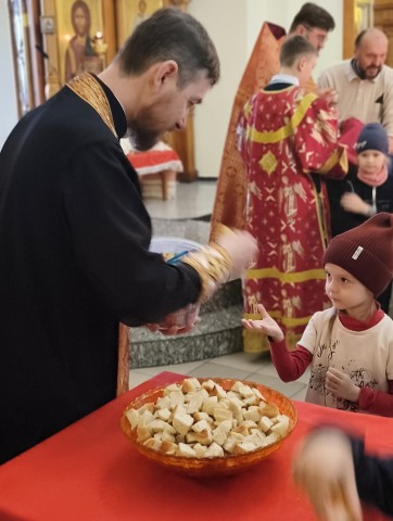 Семья и ее традиции.