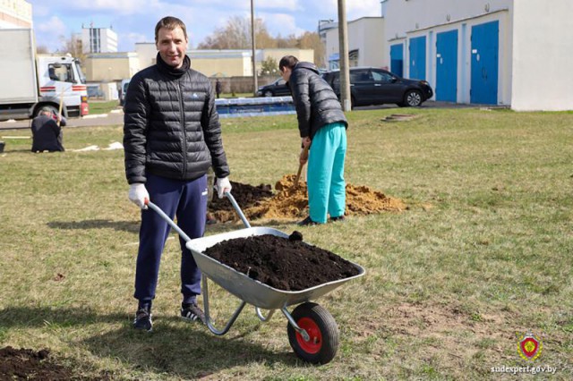 В Могилеве судебные эксперты подарили плодовый сад своим коллегам-женщинам.