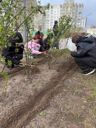 Школьная территория - территория чистоты.