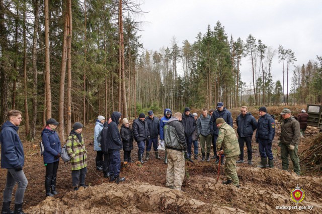 Разам дапамагаючы лесу - магілёскія эксперты папрацавалі на пасадцы елак і сосна.
