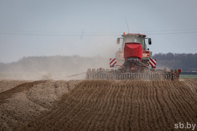 Аграрии Минской области завершили сев ранних яровых зерновых и зернобобовых культур.