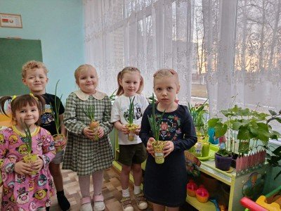 Огород на окошке детского сада.