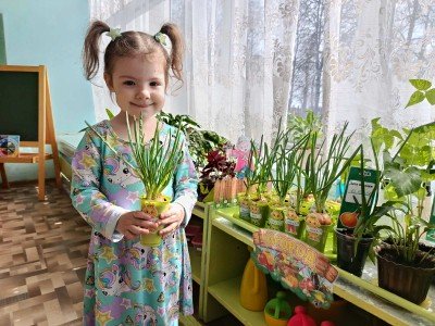 Огород на окошке детского сада.