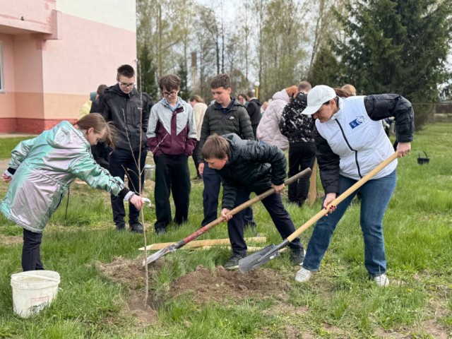 Активистки БСЖ Могилёвской области присоединились Республиканской акции ´Яблоневый сад´.