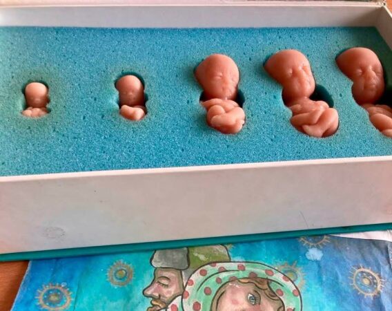 Духовно-просветительское занятие в Бобруйском государственном медицинском колледже.
