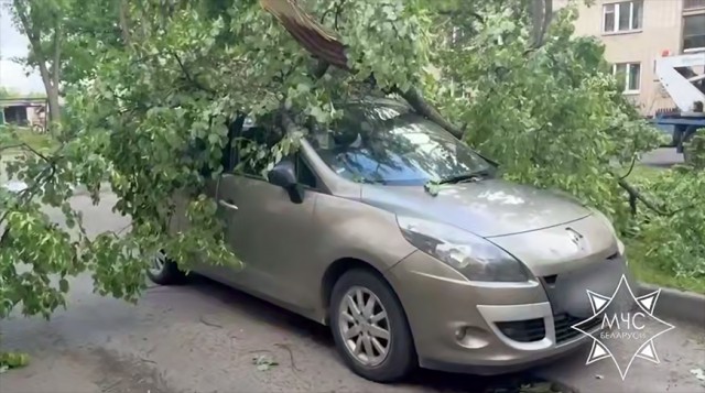 Упавшие деревья, поврежденный автомобиль. Спасатели более 40 раз выезжали на ликвидацию последствий непогоды.