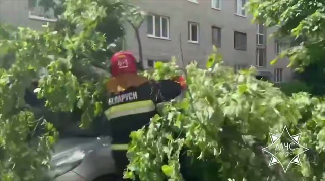 Упавшие деревья, поврежденный автомобиль. Спасатели более 40 раз выезжали на ликвидацию последствий непогоды.
