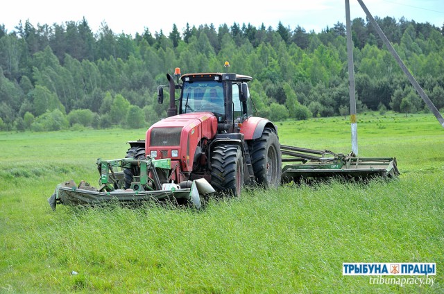´Агракамбінат Бабруйскі´ ключыся касавіцу.