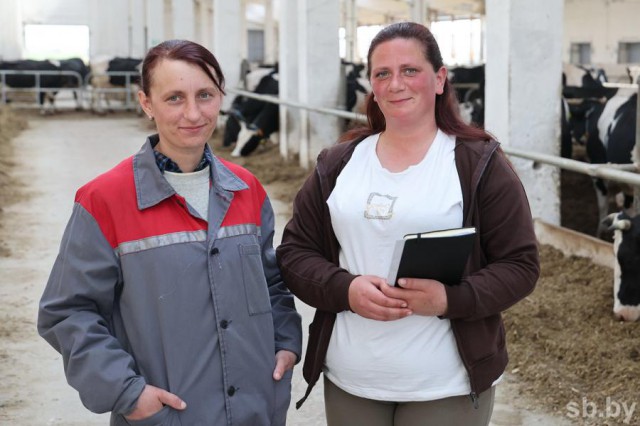 Модернизация МТК позволит Горецкому району выйти на среднесуточную продажу молока в 300 тонн.