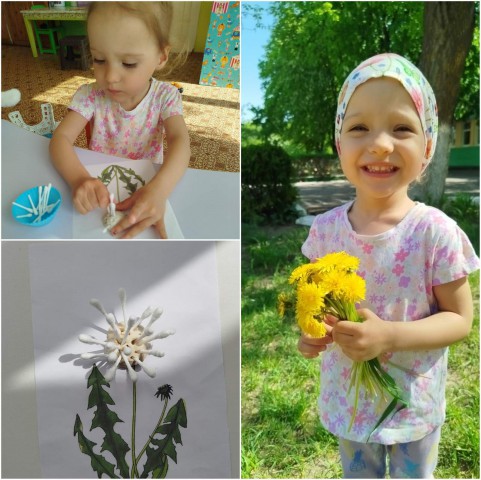 День Одуванчиков.