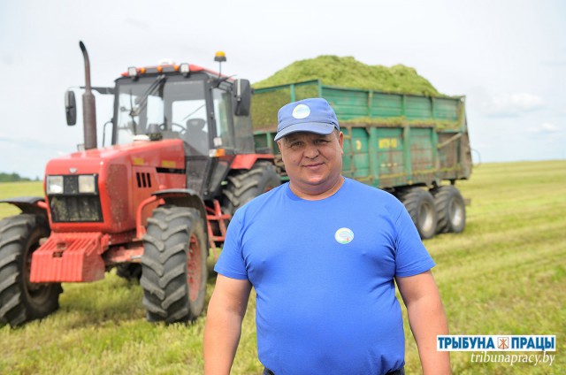 У ´Гіганце´ нарыхтоваюць травяны корм.