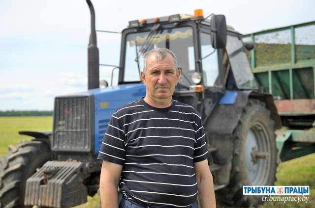 У ´Гіганце´ нарыхтоваюць травяны корм.