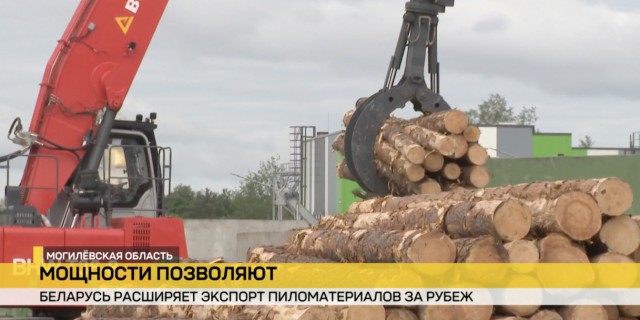 В Бобруйске появилось новое деревообрабатывающее производство.