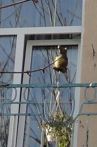 В Бобруйск.
