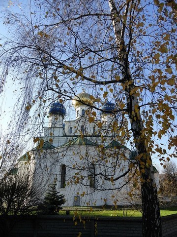 В Бобруйск.